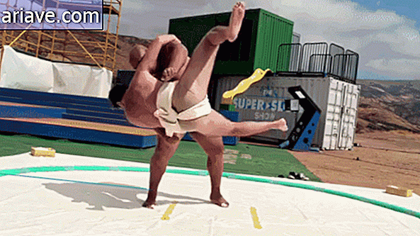luchadores de sumo