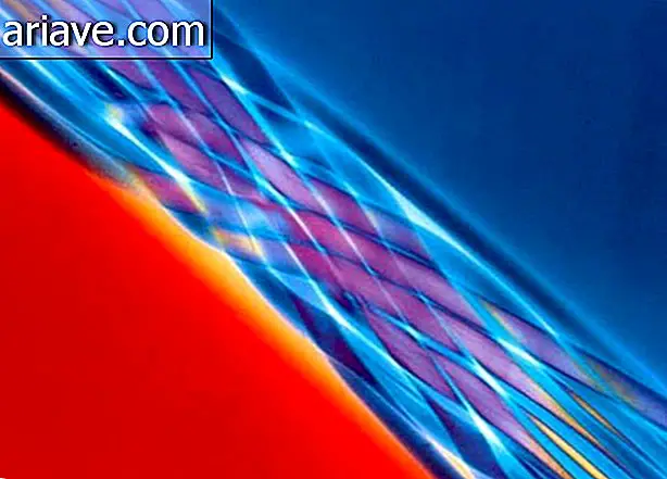1991 - Larawan ni Marc Van Hove ng Centexbel, Belgium, na nagpapakita ng nababanat na mga polyurethane fibers.