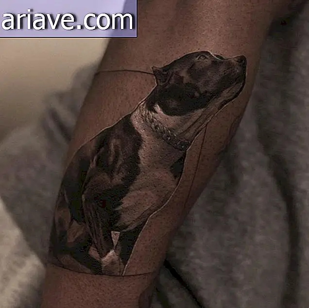 Tatuajul unui câine