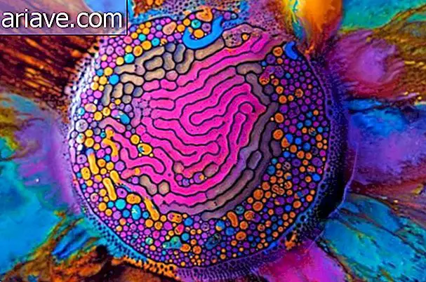 Fotograful creează lucrări de artă cu ferrofluid