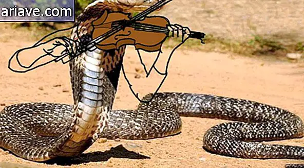 Музичка змија