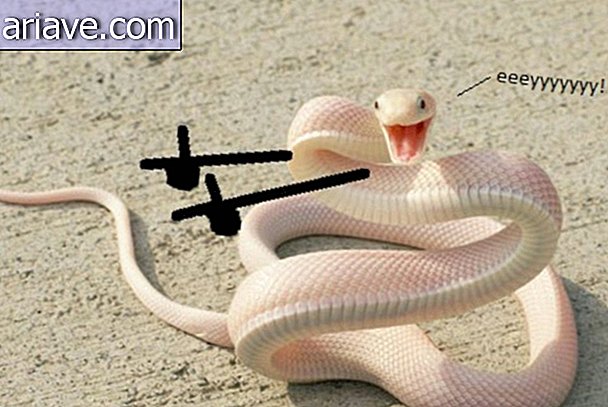 Лепа змија