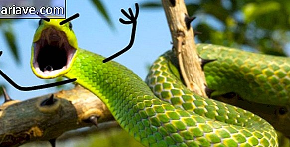 Позвана змија