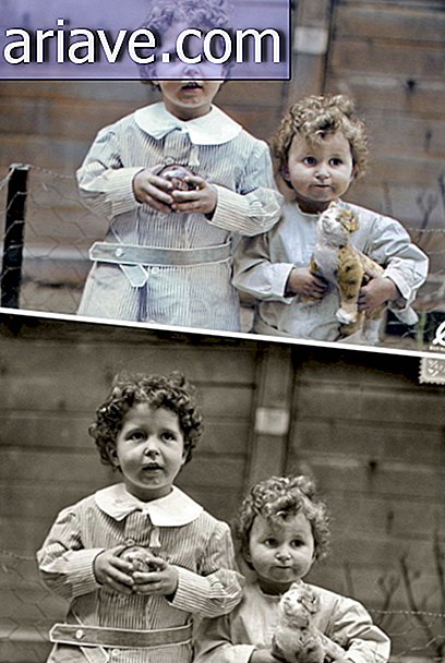 Titanic Orphans