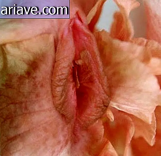 Regarde, mais ce n'est pas: 10 photos de nature qui ressemblent à des vagins