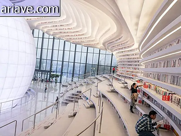 Wow! Conosci questa enorme biblioteca, con una raccolta di 1, 2 milioni di libri.
