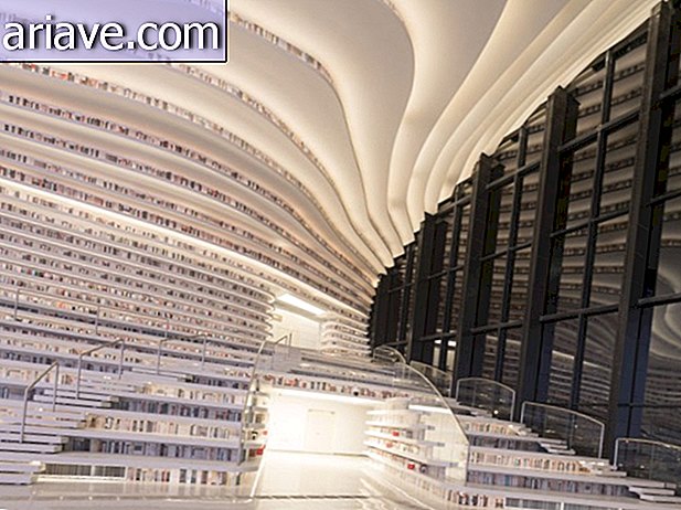 वाह! 1.2 मिलियन पुस्तकों के संग्रह के साथ इस विशाल पुस्तकालय को जानें।