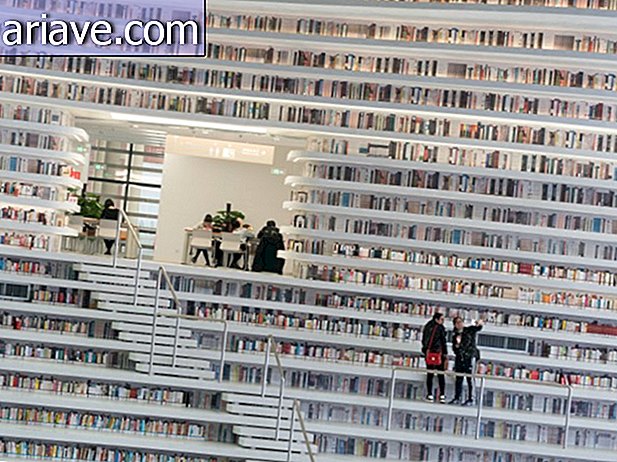 Wow! Conozca esta gran biblioteca, con una colección de 1.2 millones de libros.