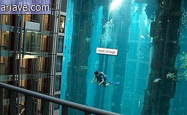 बर्लिन के होटल में लॉबी में उष्णकटिबंधीय मछली के साथ विशाल मछलीघर है
