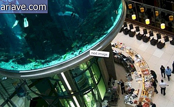 बर्लिन के होटल में लॉबी में उष्णकटिबंधीय मछली के साथ विशाल मछलीघर है