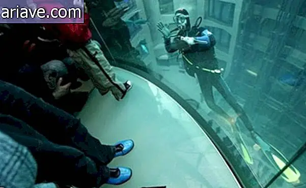 L'hotel di Berlino ha un acquario gigante con pesci tropicali nella hall