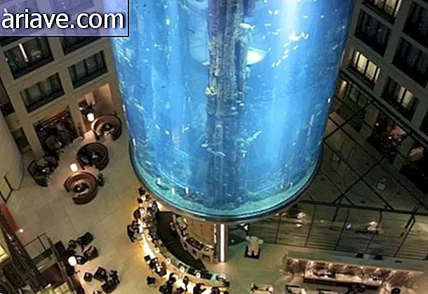 Berlin hotel has giant aquarium with tropical fish in lobby