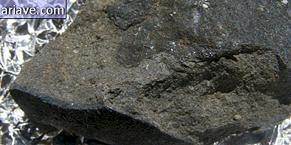 Fragment de météorite