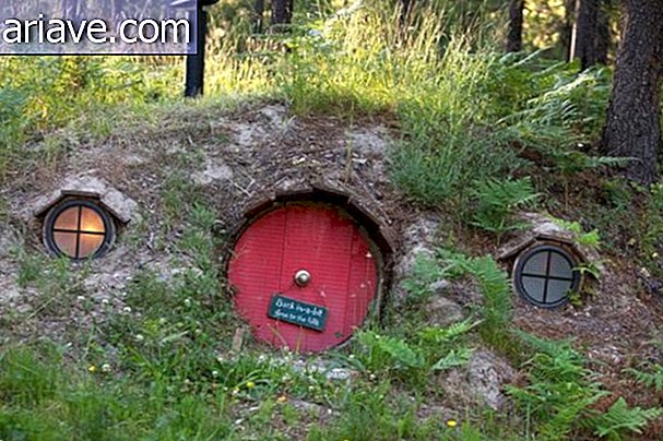 Det er et Hobbit-hus til salgs, og du trenger å vite denne skjønnheten