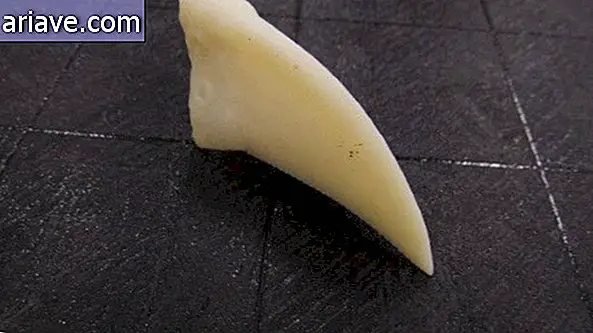 În Brazilia, Toucan câștigă proteza tipărită tip mamă 3D [video]
