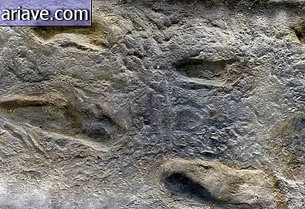 Impronte di Laetoli