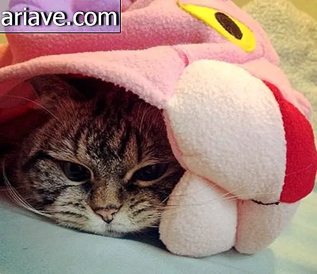 Apakah Anda suka selimut Pink Panther saya?