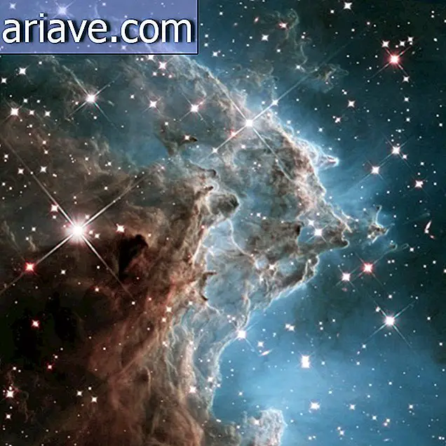 Nebulosa Cabeza De Mono