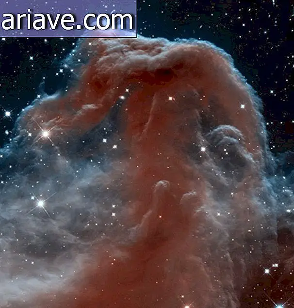 Nebulosa Testa di cavallo