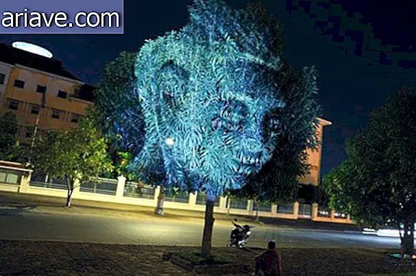 Light projections turn trees into gods [gallery]
