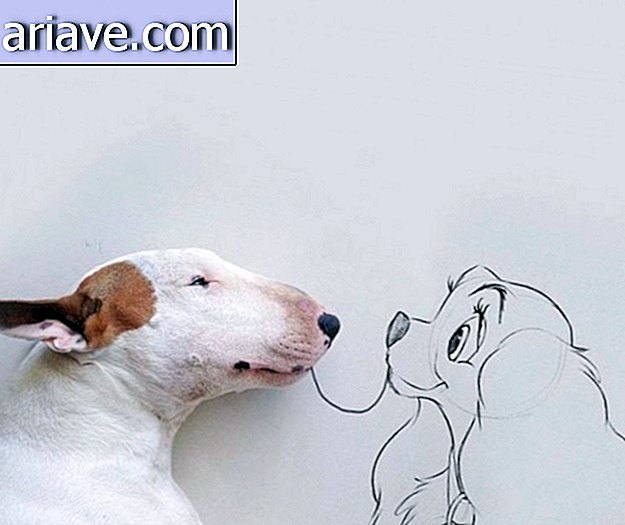 ब्राजील के इलस्ट्रेटर कुत्ते के साथ मजेदार फोटो सीरीज़ बनाते हैं