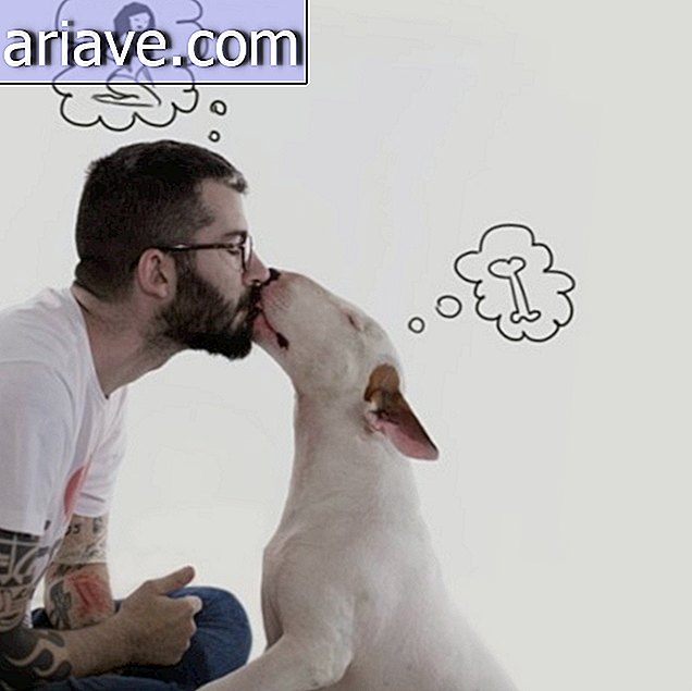 A brazil illusztrátor szórakoztató fotósorozatokat készít kutyával