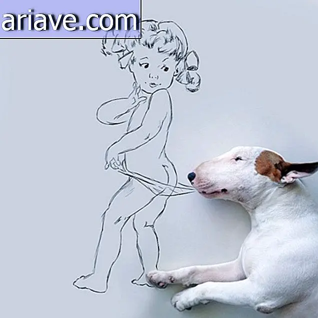 A brazil illusztrátor szórakoztató fotósorozatokat készít kutyával