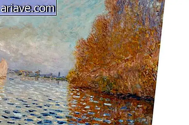 Het schilderen van Monet duurt 3 jaar om te herstellen - begrijp hoe het proces eruit ziet