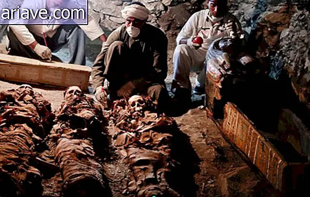 Egyptische mummies en skeletten