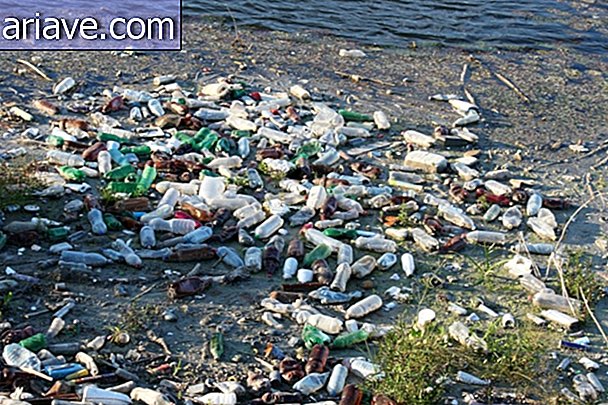 समुद्री प्लास्टिक कचरा