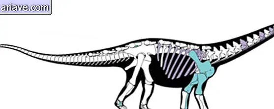 Model dinozavrov