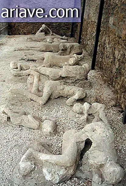Pompeii-organer