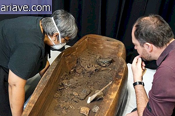 Mummy-containing sarcophagus