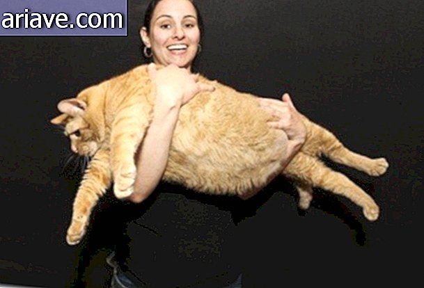 Tutvuge Paavoga, kes on tõenäoliselt kõige rasvasem kass maailmas