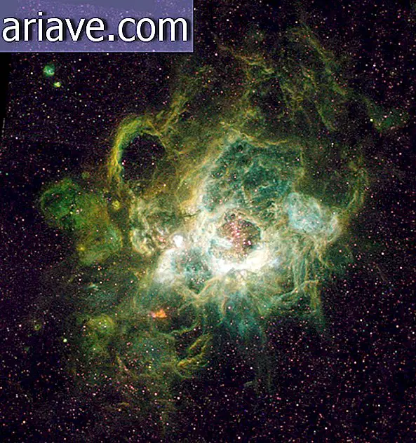 NGC 604 Nebula