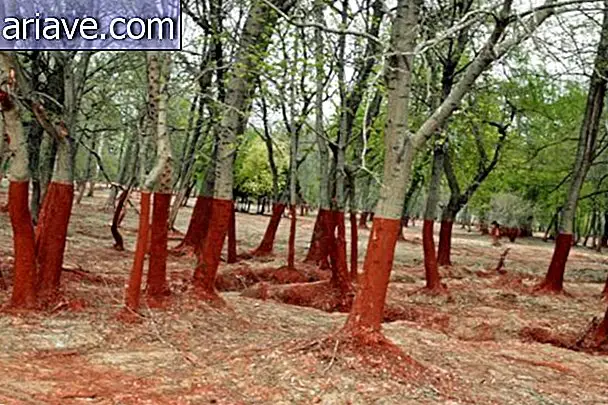 Plocha červených čiar zničená toxickým bahnom v Maďarsku [galéria]