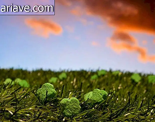 Ранкове мистецтво: Фотограф створює дивовижні зернові сцени [Галерея]
