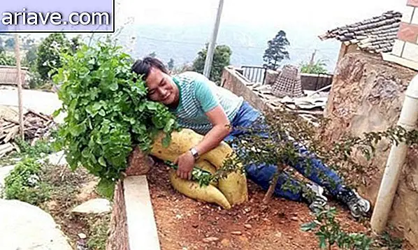 Etkileyici: Çin, 15 kilodan daha ağır olan dev şalgam yetiştiriyor