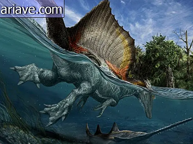 ไดโนเสาร์ที่กินเนื้อเป็นอาหารที่ใหญ่ที่สุดในโลกคือการผสมของจระเข้เป็ด