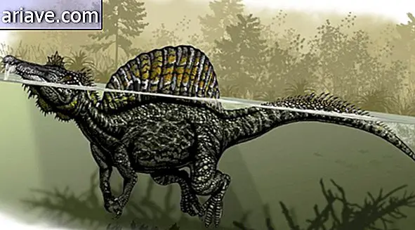 El dinosaurio carnívoro más grande del mundo era una mezcla de cocodrilo de pato.