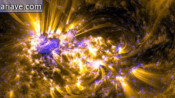 NASA Releases Spectacular Images of Last Solar Flare