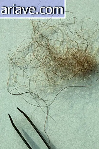 Animal hair