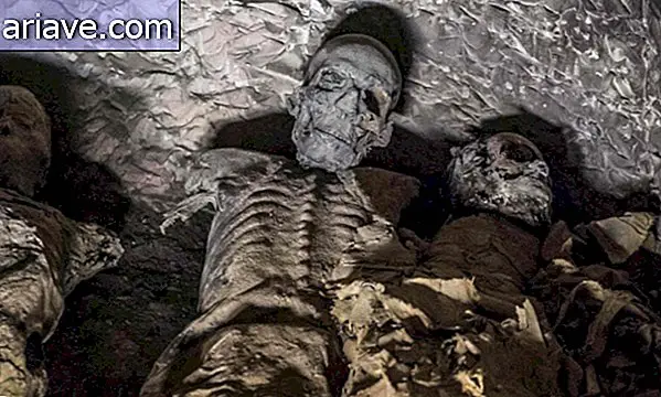 Mumifikované orgány