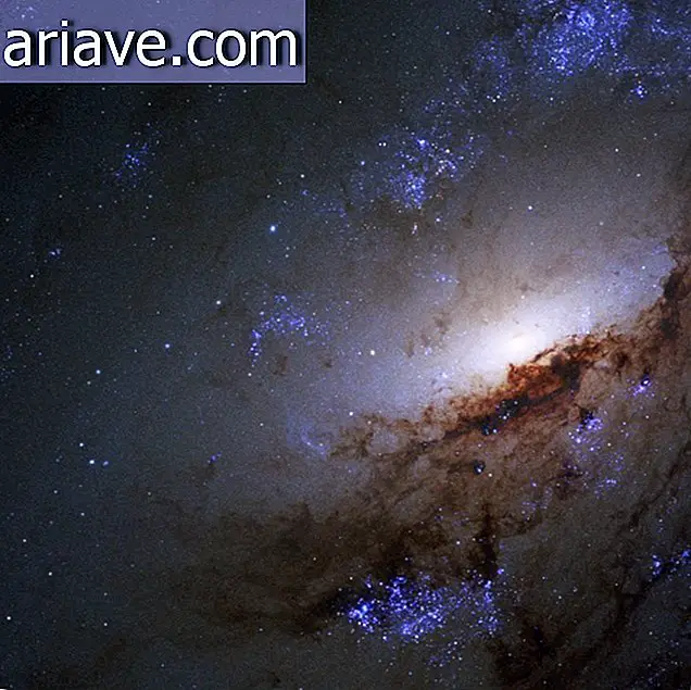 Modrikasta galaksija