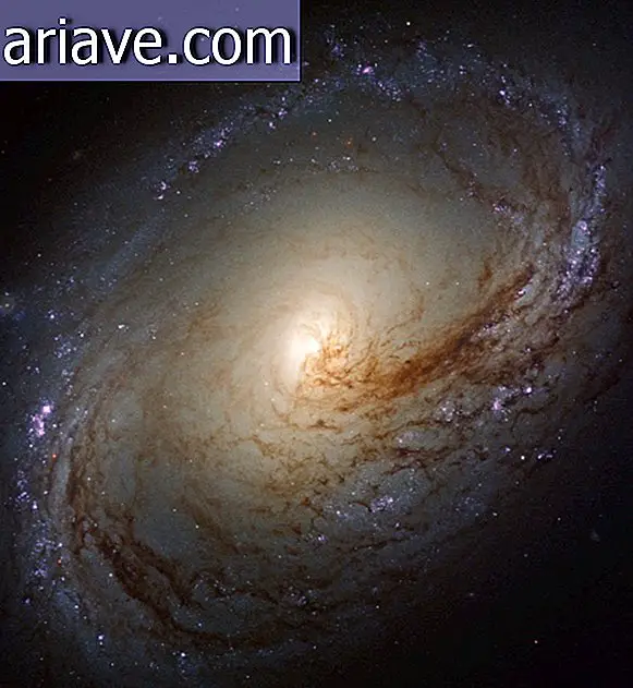 Čudovita galaksija