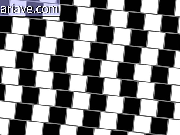 optična iluzija