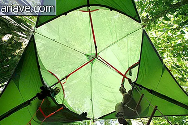 Tentsile: solution for those who want to camp without sleeping on the ground [gallery]