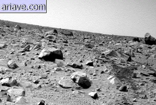 अधिक लापता नहीं: उन्होंने मंगल पर एक गोरिल्ला और एक ऊंट को देखा