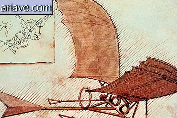 Beeldresultaat voor Leonardo da Vinci-vliegmachine