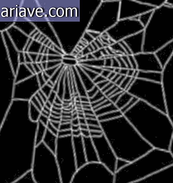 Марихуана паук